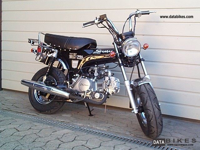 2011 Skyteam  V-Raptor 250 cc Motorcycle Motorcycle photo