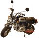 Skyteam  ST50-8A, Gorilla - 8.3 Lt. Tank - Model 2010 2011 Motor-assisted Bicycle/Small Moped photo
