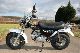 Skyteam  ST50-11 T-REX 2011 Motor-assisted Bicycle/Small Moped photo