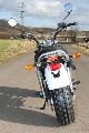 2011 Skyteam  ST50-11 T-REX Motorcycle Motor-assisted Bicycle/Small Moped photo 2