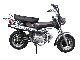 2011 Skyteam  ST50-6 SKYMAX 5.5 \ Motorcycle Motor-assisted Bicycle/Small Moped photo 2