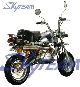 2011 Skyteam  Le MANS CLUB ST125 \ Motorcycle Lightweight Motorcycle/Motorbike photo 1