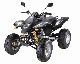 2011 SMC  RAM 300 in 4x2 black Motorcycle Quad photo 2