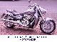 2008 Suzuki  VZR ----- 800 --- Special Price Motorcycle Chopper/Cruiser photo 7