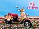 2011 Tauris  Flower Capri 50 Motorcycle Scooter photo 1