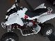 2010 Triton  SP300-S * ALLOY * AUTOMATIC * Motorcycle Quad photo 8
