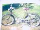 Triumph  Knirps 50 original 1.Hand 1951 Motor-assisted Bicycle/Small Moped photo