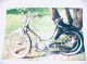 1951 Triumph  Knirps 50 original 1.Hand Motorcycle Motor-assisted Bicycle/Small Moped photo 6