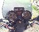 1982 Yamaha  XJ550 Motorcycle Chopper/Cruiser photo 1