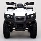 2011 Other  TGB Blade 525 4x2 with the hammer model LOF 2012 Motorcycle Quad photo 3