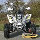 2011 Other  Shineray XY200ST Quad-9 automatic Motorcycle Quad photo 1