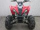 2011 Other  350 R Raptor in style Motorcycle Quad photo 3