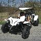 2011 Other  BUGGY TENSION 500 4x4 all-wheel 500cc Straßenzulas Motorcycle Quad photo 6