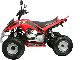 2011 Other  50cc quad AUTOMATIC CITY + RG of 16 years Motorcycle Quad photo 2