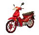 Other  FERRO 202-4 17inch NEW! 2011 Motor-assisted Bicycle/Small Moped photo
