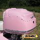 2011 Other  Roller ZN50QT-H-RETRO Pink 25 or 45 km / h Motorcycle Scooter photo 13