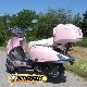 2011 Other  Roller ZN50QT-H-RETRO Pink 25 or 45 km / h Motorcycle Scooter photo 6