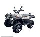 2011 Other  CF Moto Allroad 300 IS Motorcycle Quad photo 1