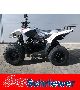 Aeon  Cobra 50 - Quad ATV - pure fun! - NEW 2012 Quad photo