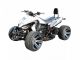 2011 Other  350cc Race Quad Little km - TOP-Maintained Motorcycle Quad photo 10