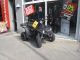 2012 Dinli  300 Special X Motorcycle Quad photo 3