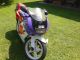 1992 Aprilia  AF 1 Motorcycle Motor-assisted Bicycle/Small Moped photo 2