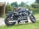 1987 Harley Davidson  XLH883 Motorcycle Chopper/Cruiser photo 1