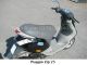 2003 Piaggio  Zip Motorcycle Scooter photo 1