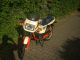 1985 Puch  Imola GX Type N 50 Motorcycle Motor-assisted Bicycle/Small Moped photo 3