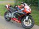 2012 Aprilia  RS 125 (up to 19:04:14 factory warranty) Motorcycle Sports/Super Sports Bike photo 3