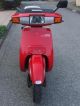 1993 Honda  Lead Motorcycle Scooter photo 1