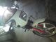 1987 Puch  Imola GX Motorcycle Motor-assisted Bicycle/Small Moped photo 3