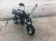 Skyteam  Monkey 2010 Motor-assisted Bicycle/Small Moped photo