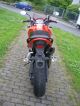 2008 Triumph  Tiger with Remus Exhaust Motorcycle Motorcycle photo 5