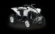 2012 Can Am  Renegade 800, with 4 years warranty, TOP-unit Motorcycle Quad photo 3