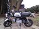 Gorilla  Quick Foot 50cc 2008 Motor-assisted Bicycle/Small Moped photo