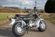 2012 Skyteam  ST 50 -11 T-REX Motorcycle Motor-assisted Bicycle/Small Moped photo 3