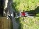 1997 Sachs  (Hercules) Prima 2 moped Motorcycle Motor-assisted Bicycle/Small Moped photo 1