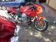 1999 Moto Guzzi  1100 Sport Motorcycle Sports/Super Sports Bike photo 1