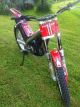 2004 Gasgas  TXT Pro 280 Motorcycle Other photo 3