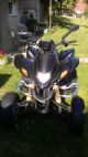 2009 Dinli  Trasher 450 Motorcycle Quad photo 3