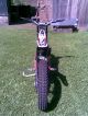 2012 Gasgas  TXT Pro 250 with REIGER Motorcycle Other photo 2