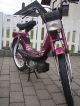 Hercules  Prima 2 S 1992 Motor-assisted Bicycle/Small Moped photo