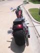 2009 Harley Davidson  Big Dog Pitbull Motorcycle Chopper/Cruiser photo 3