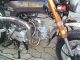 2012 Skyteam  ST 125 - Professional 6B Dax 5.5 liter tank Motorcycle Lightweight Motorcycle/Motorbike photo 10