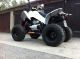 2012 Dinli  DL 801-300 Motorcycle Quad photo 1