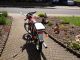 1987 Puch  Racing 25 N50-3 Motorcycle Motor-assisted Bicycle/Small Moped photo 2