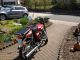 1987 Puch  Racing 25 N50-3 Motorcycle Motor-assisted Bicycle/Small Moped photo 4