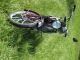 1983 Herkules  Discus Motorcycle Motor-assisted Bicycle/Small Moped photo 3