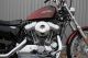2012 Harley Davidson  XL1200V Sportster \ Motorcycle Chopper/Cruiser photo 4